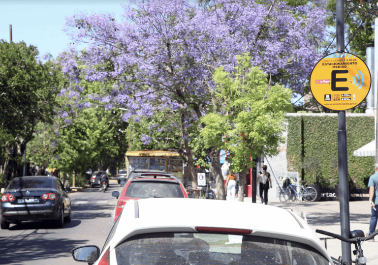 Rige el incremento del 50% los valores del estacionamiento medido en La Plata