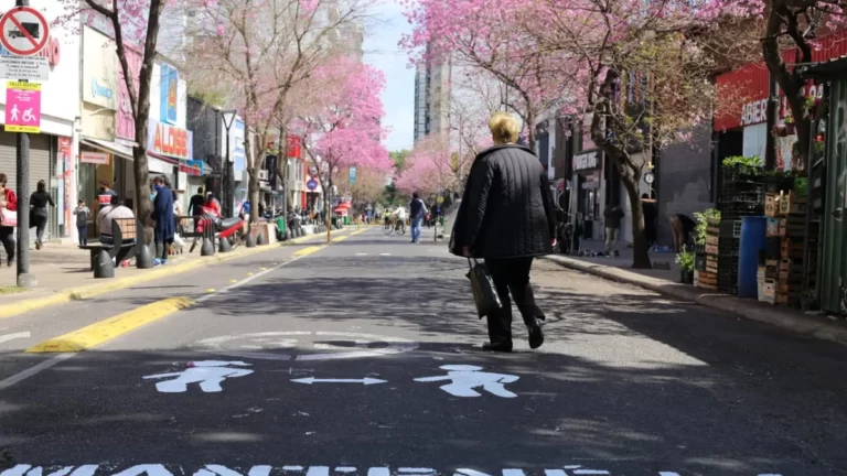 La Matanza, La Plata y Lomas de Zamora, los partidos más poblados de la Provincia