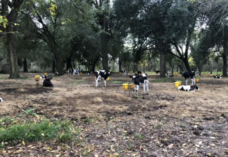 Otorgan beneficios fiscales a productores platenses afectados por la sequía