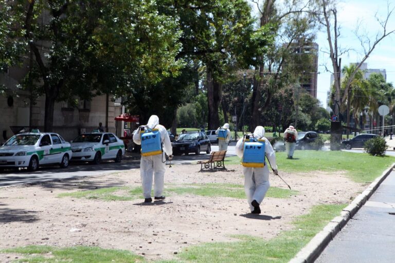 Declaran brote de dengue en La Plata