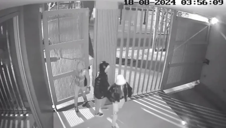 Cayó la «viuda negra» que drogó y desvalijó a dos hombres en La Plata