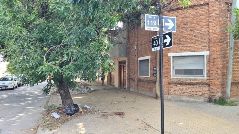 Violento crimen en La Plata: asesinó a una mujer e hirió a otras dos personas en plena vereda
