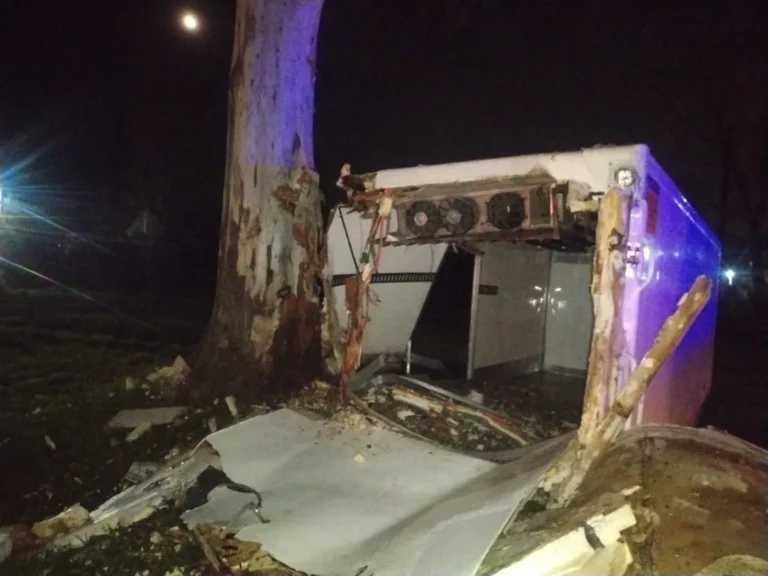 Ruta 2: un camión frigorífico despistó, chocó contra un árbol y un hombre quedó gravemente herido