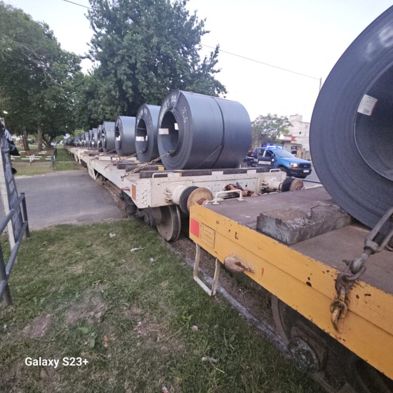 Volvió a descarrilar el tren de cargas en La Plata
