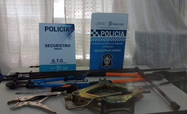 “Con el criquet y llave cruz en mano”: detuvieron a integrantes de una banda de roba ruedas en La Plata