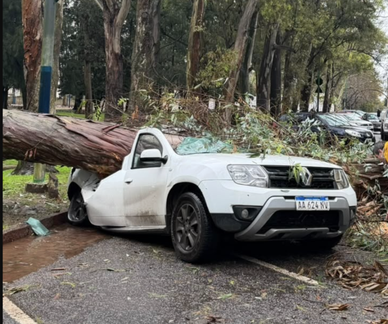 La tormenta dejó calles anegadas, árboles caídos y cortes de luz en distintos barrios de La Plata