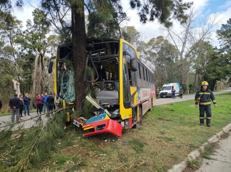 Impresionante choque y 20 heridos en la Av. 60: un colectivo chocó un auto y se estrelló contra un árbol