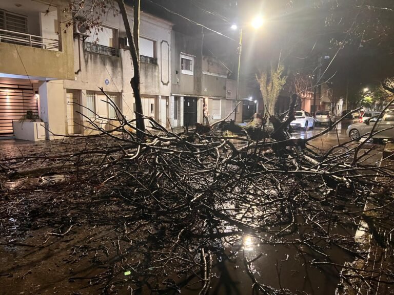 Sigue el alerta naranja en La Plata: una nueva línea de tormentas con fuertes lluvias se espera durante la noche